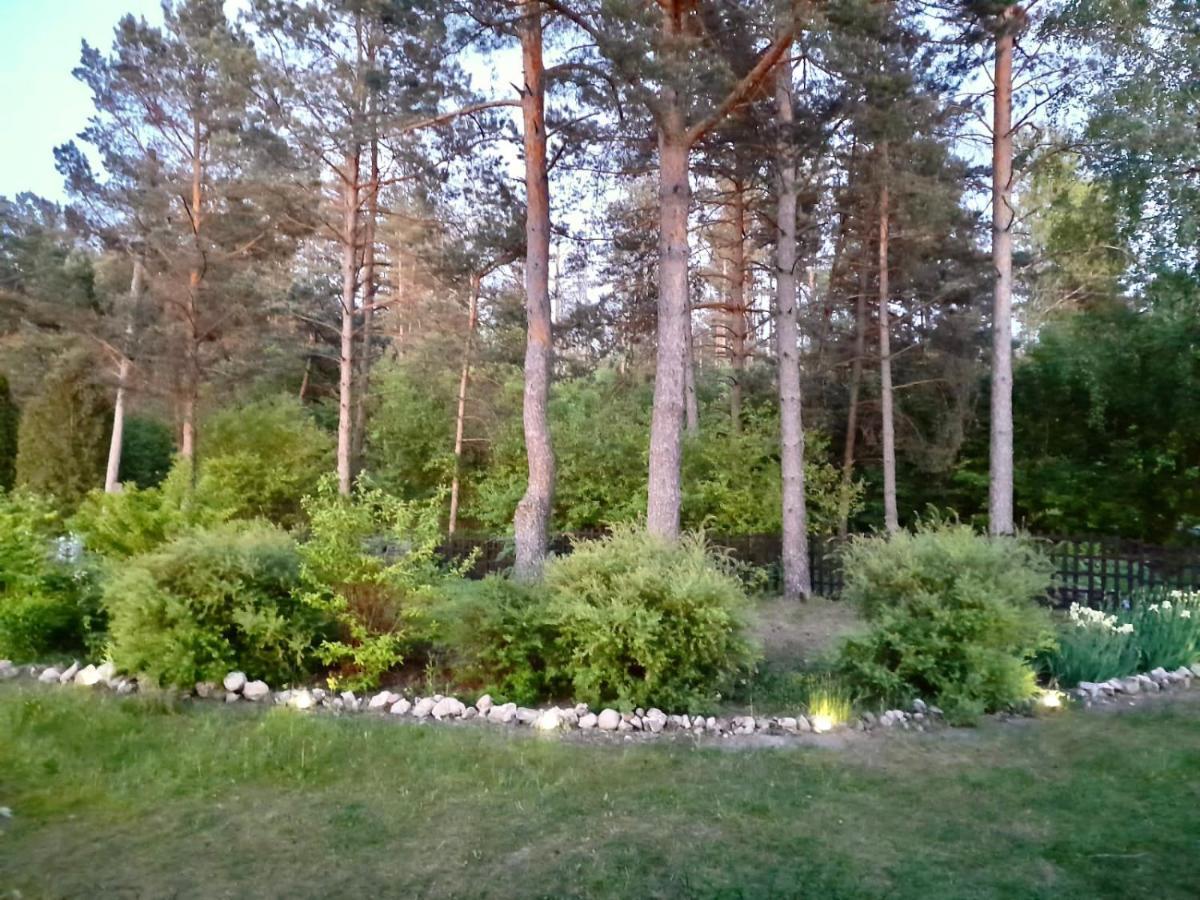 Vb Domum Hospitum Частна квартира *