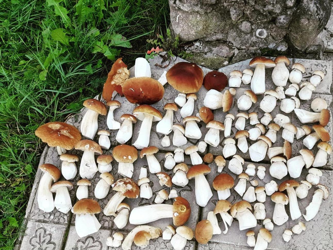 Vb Domum Hospitum Частна квартира Krāslava